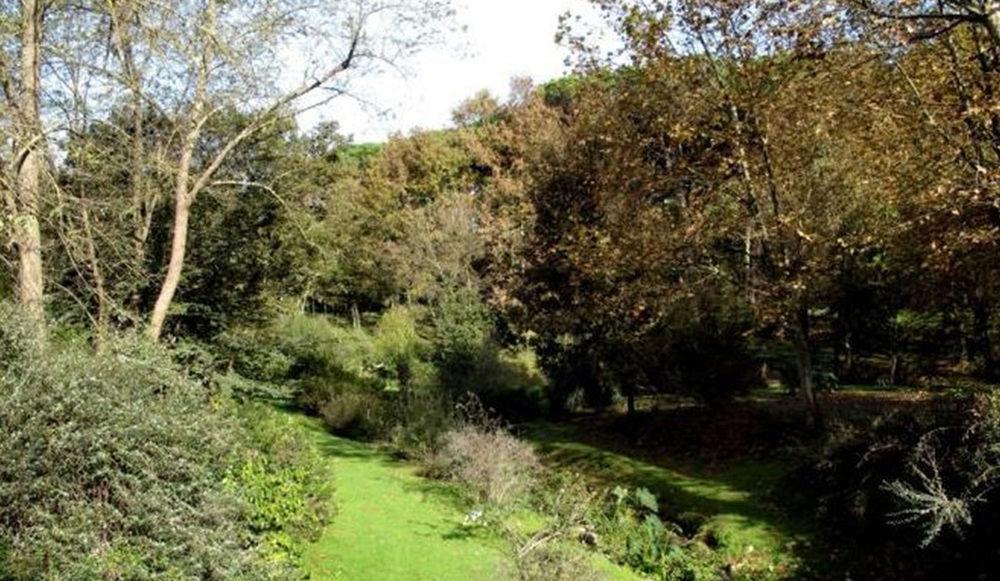 Hotel Terme Di Stigliano Canale Monterano Eksteriør billede